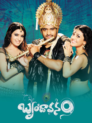 Brindavanam (The Super Khiladi) (2010) ( – Telugu) Dual Audio | Dubbed Hindi Movie UnCut HDRip [1.4GB]
