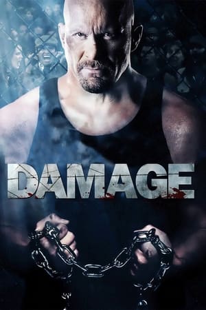 Damage 2009 Dual Audio | Dubbed Hindi Movie BluRay [970MB]