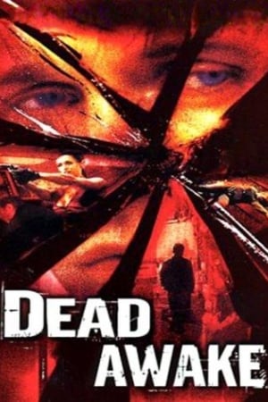 Dead Awake 2001 Dual Audio | Dubbed Hindi Movie WebRip 300MB