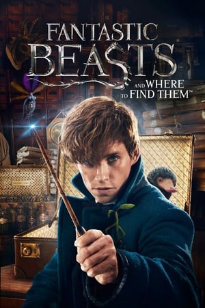 Fantastic Beasts and Where to Find Them 2016 Dual Audio () BluRay | Dubbed Hindi Movie [1.1 GB]