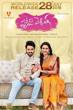 Happy Wedding (2018) ( - Telugu) Dual Audio | Dubbed Hindi Movie UnCut HDRip [1.4GB]