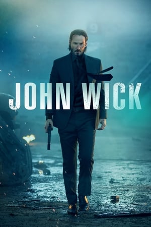 John Wick (2014) Dual Audio | Dubbed Hindi Movie BluRay [900MB] ESubs
