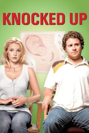 Knocked Up (2007) Dual Audio | Dubbed Hindi Movie BluRay [1GB]