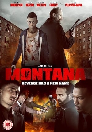 Montana (2014) Dual Audio | Dubbed Hindi Movie BluRay 350MB