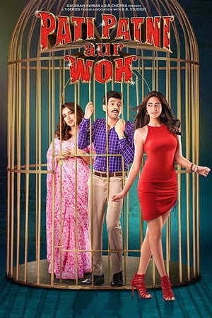 Pati Patni Aur Woh 2019 Movie | Dubbed Hindi Movie HDRip – [350MB]
