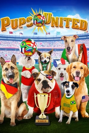 Pups United 2015 Dual Audio | Dubbed Hindi Movie BluRay 300MB