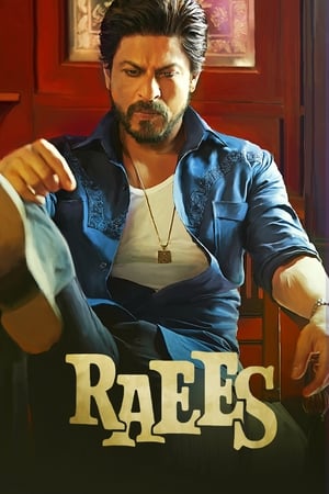 Raees (2017) Full Movie DVDRip | Dubbed Hindi Movie [1.0GB] Download