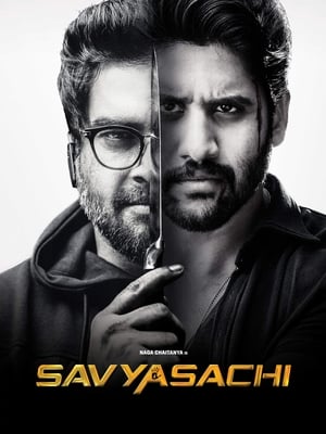 Savyasachi (2018) Dual Audio | Dubbed Hindi Movie UnCut HDRip 450MB