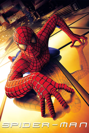 Spider-Man (2002) Dual Audio | Dubbed Hindi Movie BluRay 370MB