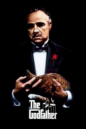 The Godfather Part I (1972) Dual Audio Movie | Dubbed Hindi Movie BluRay - 1GB