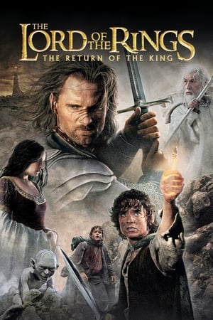 The Lord of the Rings: The Return of the King (2003) Dubbed BluRay | Dubbed Hindi Movie [1.8GB] Download