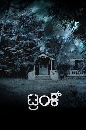 Trunk (2018) ( – Kannada) Dual Audio | Dubbed Hindi Movie UnCut HDRip 450MB